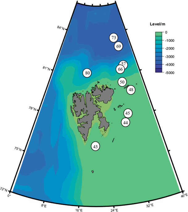 Arctic marine fungi: biomass, functional genes, and putative ecological ...