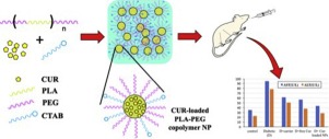 Curcumin Loaded Pla Peg Copolymer Nanoparticles For Treatment Of Liver Inflammation In Streptozotocin Induced Diabetic Rats Colloids And Surfaces B Biointerfaces X Mol