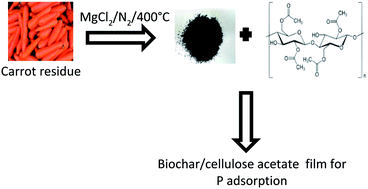 Film Based On Magnesium Impregnated Biochar Cellulose Acetate For