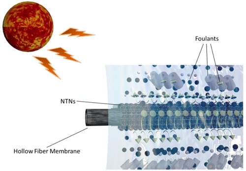 Photocatalytic Polysulfone Hollow Fiber Membrane With Self-Cleaning And ...