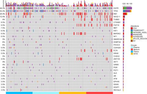 Differences In The Genomic Profiles Of Cell-free DNA Between Plasma ...