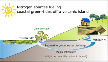 Tracing nitrogen sources fueling coastal green tides off a