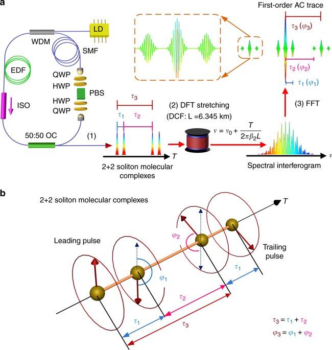 Optical Soliton Molecular Complexes In A Passively Mode-locked Fibre ...