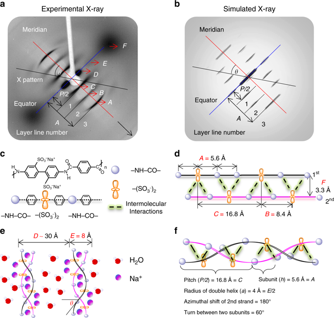 Double Helical Conformation And Extreme Rigidity In A Rodlike ...