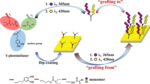 Design Synthesis And Application Of A Difunctional Y Shaped Surface Tethered Photoinitiator Langmuir X Mol