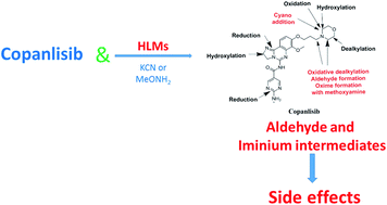 Reactive Intermediates In Copanlisib Metabolism Identified By Lc Ms Ms Phase I Metabolic Profiling Rsc Advances X Mol