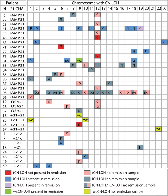 Sh2b3 Inactivation Through Cn Loh 12q Is Uniquely Associated With B Cell Precursor All With Iamp21 Or Other Chromosome 21 Gain Leukemia X Mol