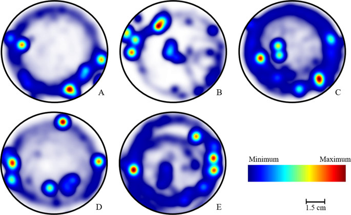 Late effect of larval co-exposure to the insecticide clothianidin and ...