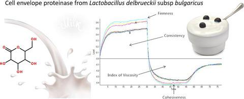 The Effect Of Lactobacillus Delbrueckii Subsp Bulgaricus Proteinase On Properties Of Milk Gel Acidified With Glucono D Lactone International Journal Of Food Science Technology X Mol