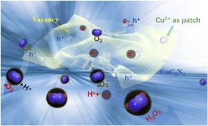 Efficient Evolution Of Reactive Oxygen Species Over The Coordinated P Delocalization G C3n4 With Favorable Charge Transfer For Sustainable Pollutant Elimination Applied Catalysis B Environmental X Mol