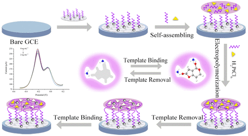 Molecularly Imprinted Poly(thionine)-Based Electrochemical Sensing ...