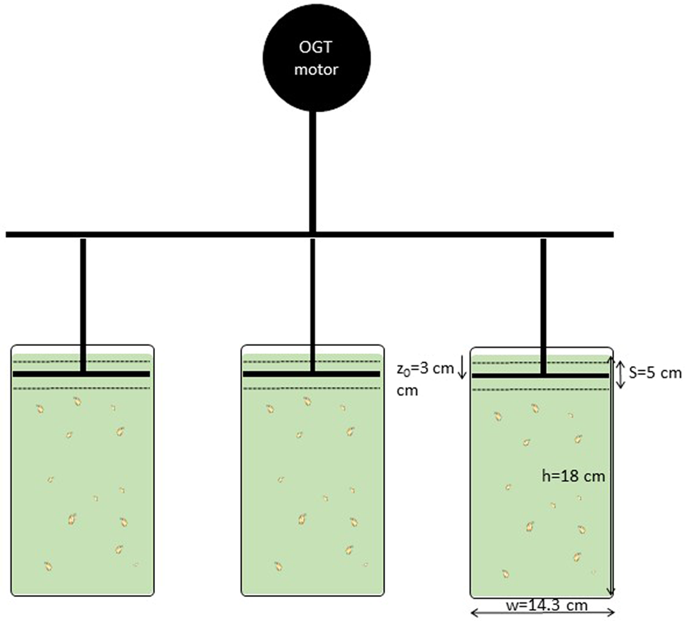 Functional Responses Of Daphnia Magna To Zero Mean Flow Turbulence Scientific Reports X Mol