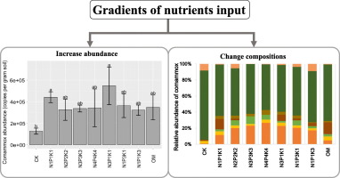 Adaptive Responses Of Comammox Nitrospira And Canonical Ammonia ...