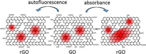 Reaction Kinetics Of Reducing Graphene Oxide At Individual Sheet Level Studied By Twilight Fluorescence Microscopy The Journal Of Physical Chemistry C X Mol