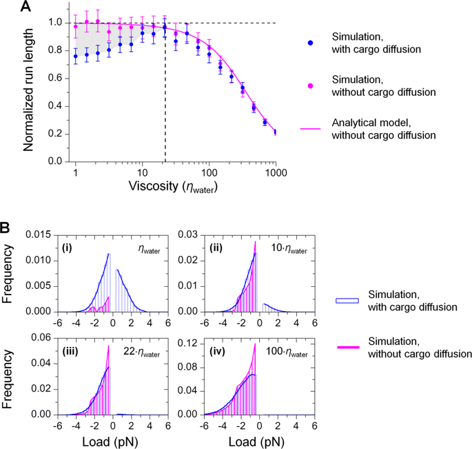 cargo-diffusion-shortens-single-kinesin-runs-at-low-viscous-drag-scientific-reports-x-mol