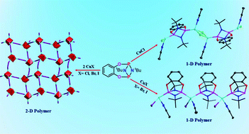 Catechol And 1 2 4 5 Tetrahydroxybenzene Functionalized Cyclodiphosphazane Ligands Synthesis Structural Studies And Transition Metal Complexes Dalton Transactions X Mol