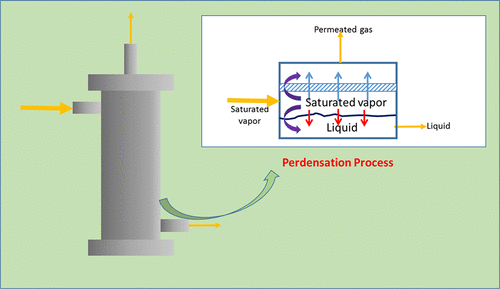 why-are-liquid-organic-compounds-volatile