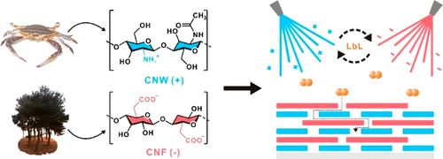 Crab On A Tree All Biorenewable Optical And Radio Frequency Transparent Barrier Nanocoating For Food Packaging Acs Nano X Mol