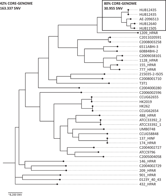 Identification Of Polysaccharide Capsules Among Extensively Drug Resistant Genitourinary Haemophilus Parainfluenzae Isolates Scientific Reports X Mol