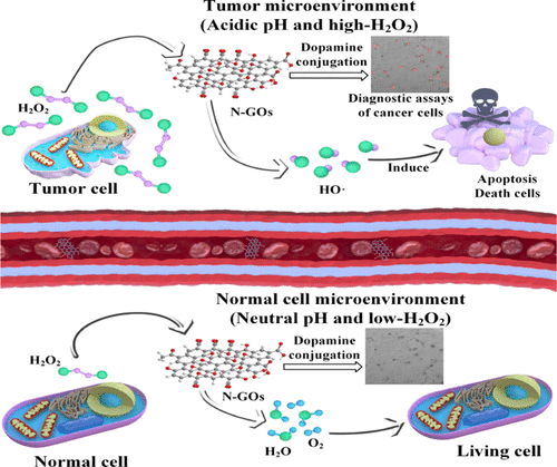 Acidic Ph And High H2o2 Dual Tumor Microenvironment Responsive Nanocatalytic Graphene Oxide For