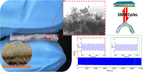 Capacitive Pressure Sensor With Wide-Range, Bendable, And High ...