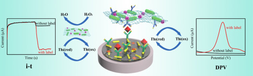 Thionin Functionalized Signal Amplification Label Derived Dual Mode Electrochemical Immunoassay For Sensitive Detection Of Cardiac Troponin I Biosensors And Bioelectronics X Mol