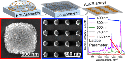 Solvent-Assisted Self-Assembly Of Gold Nanorods Into Hierarchically ...