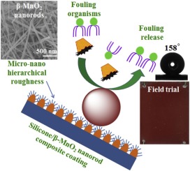 Superhydrophobic Coating Of Silicone B Mno2 Nanorod Composite For Marine Antifouling Colloids And Surfaces A Physicochemical And Engineering Aspects X Mol