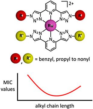 Synthesis Characterisation And Antimicrobial Studies Of Some 2 6 Bis 1 2 3 Triazol 4 Yl Pyridine Ruthenium Ii Click Complexes Asian Journal Of Organic Chemistry X Mol