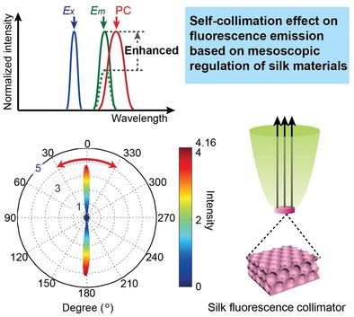 Silk Fluorescence Collimator For Ultrasensitive Humidity Sensing And Light Harvesting In Semitransparent Dye Sensitized Solar Cells Small X Mol