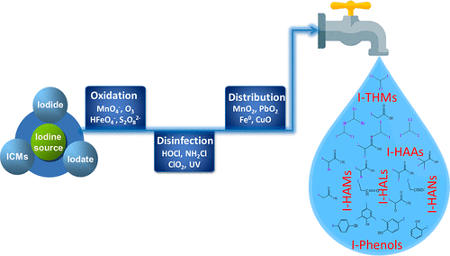 Formation Of Iodinated Disinfection Byproducts I Dbps In Drinking Water Emerging Concerns And Current Issues Accounts Of Chemical Research X Mol