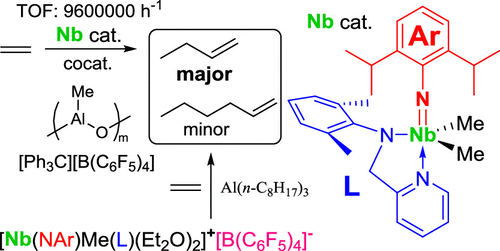 Arylimido Niobium V Complexes Containing 2 Pyridylmethylanilido Ligand As Catalyst Precursors For Ethylene Dimerization That Proceeds Via Cationic Nb V Species Organometallics X Mol