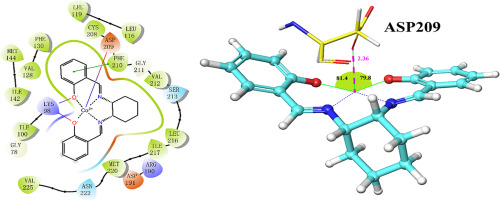 Design Synthesis And Biological Evaluation Of Cobalt Ii Schiff Base Complexes As Atp Noncompetitive Mek1 Inhibitors J Inorg Biochem X Mol