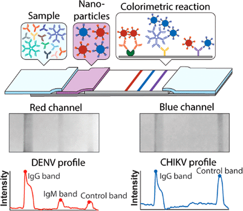 Rapid Diagnostic Platform For Colorimetric Differential Detection Of ...