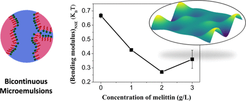 Incorporation Of Melittin Enhances Interfacial Fluidity Of Bicontinuous Microemulsions The Journal Of Physical Chemistry C X Mol