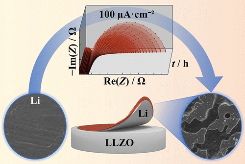 Toward A Fundamental Understanding Of The Lithium Metal Anode In Solid