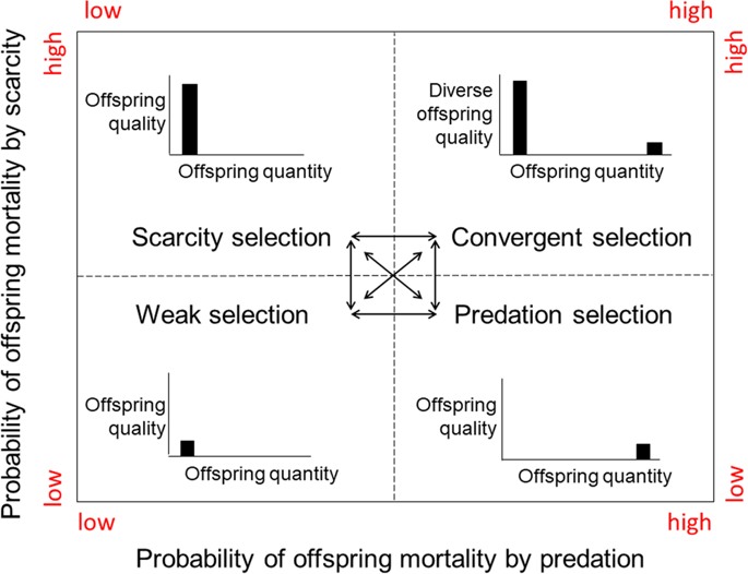 Extending r/K selection with a maternal risk-management model that