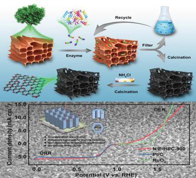 Hierarchically Porous Carbon Plates Derived From Wood As Bifunctional ...