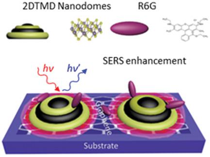 Extraordinary Sensitivity Of Surface‐Enhanced Raman Spectroscopy Of ...