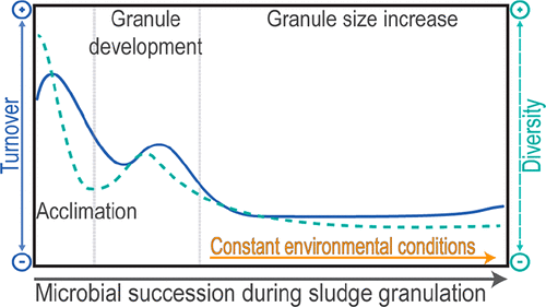 Combined Deterministic And Stochastic Processes Control Microbial Succession In Replicate Granular Biofilm Reactors Environmental Science Technology X Mol