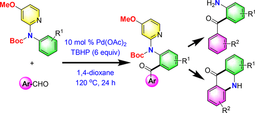 Palladium Catalyzed Late Stage Ortho C H Bond Aroylation Of Anilines Using 4 Methoxy 2 Pyridinyl As A Removable Directing Group Organometallics X Mol