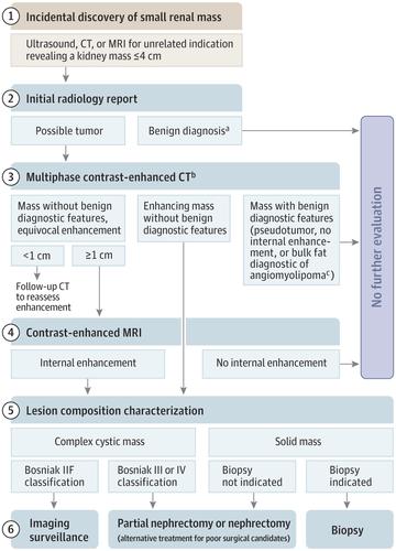 Management Of Small Kidney Tumors In 2019 Jama X Mol