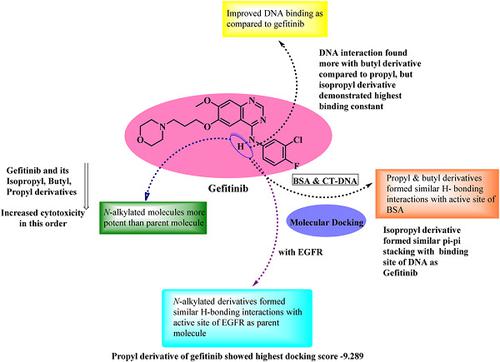 Synthesis Of Novel Gefitinib‐based Derivatives And Their Anticancer ...