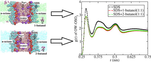 通过分子动力学模拟，SDS / 1-丁醇和SDS / 2-丁醇混合物在水/正辛烷 