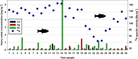 Heavy metal contamination in fish