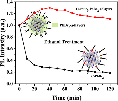 Improving The Stability Of Cspbbr3 Nanocrystals In Ethanol By Capping With Pbbr2 Adlayers The Journal Of Physical Chemistry C X Mol