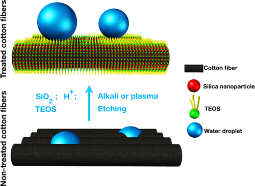 Robust Superhydrophobic Cotton Fibers Prepared By Simple Dip Coating Approach Using Chemical And