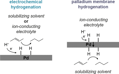 Efficient Electrocatalytic Hydrogenation With A Palladium Membrane ...