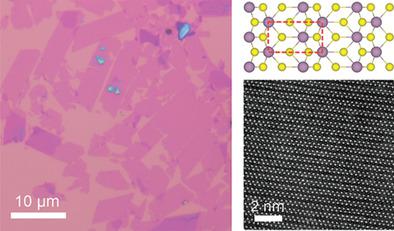 High Phase Purity Of Large‐Sized 1T′‐MoS2 Monolayers With 2D ...