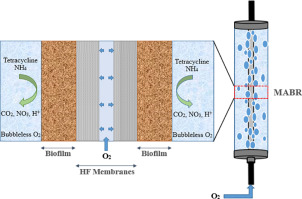 Simultaneous Oxidation Of Ammonium And Tetracycline In A Membrane ...